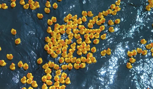 Co s námi bude? Mikroplasty v pitné vodě