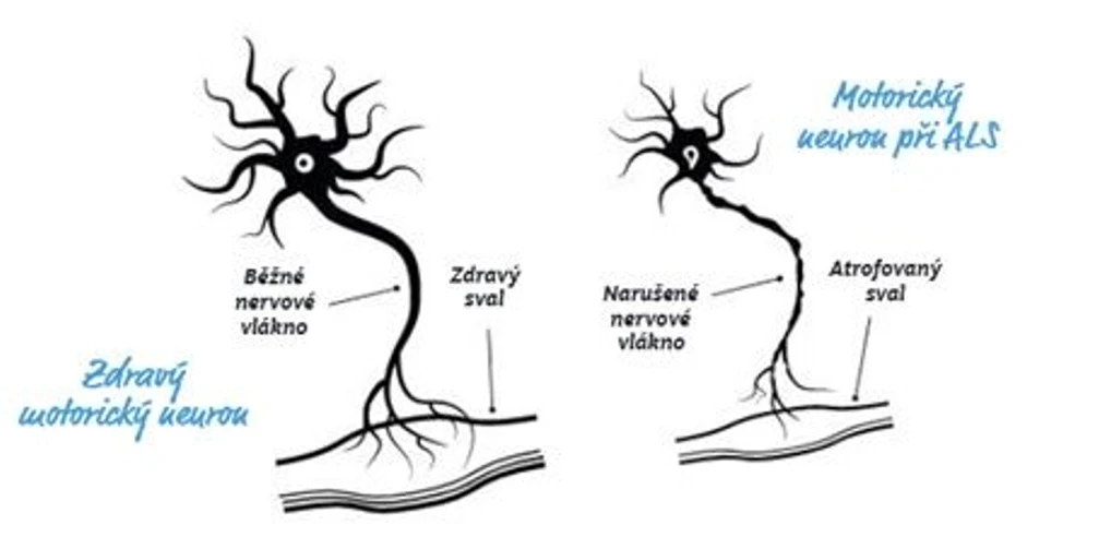 AV ČR: Moje komfortní zóna je v labu, říká neurovědkyně Monika Kubísková.