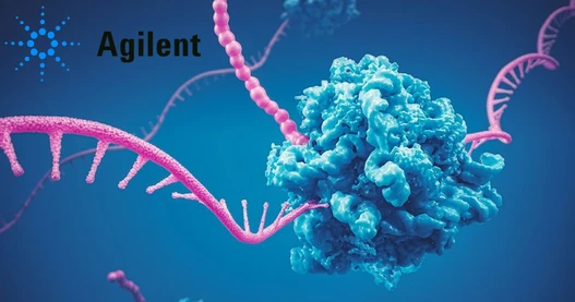 Innovative LC/MS Techniques for Oligonucleotide Analysis Without Ion Pairing Reagents