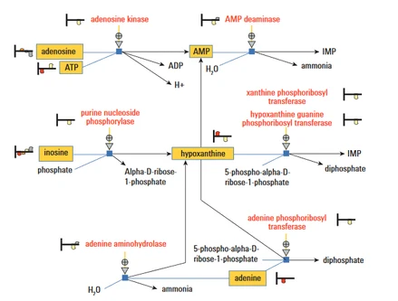 Agilent Pathway architect