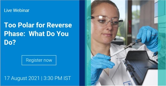 Too Polar for Reverse Phase:  What Do You Do?