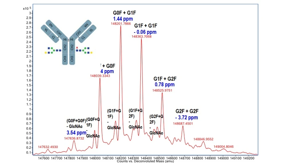 Altium: Analýza intaktní mAb NIST (0.5 μg nástřik)