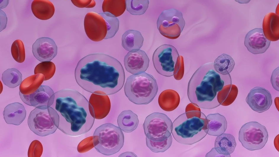 Bruker: High Throughput Single-Cell Metabolomics