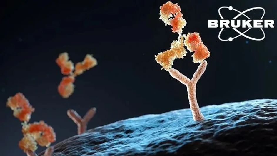 Bruker Daltonics: Maximizing Information Content in Data-Independent Acquisition Using midia-PASEF