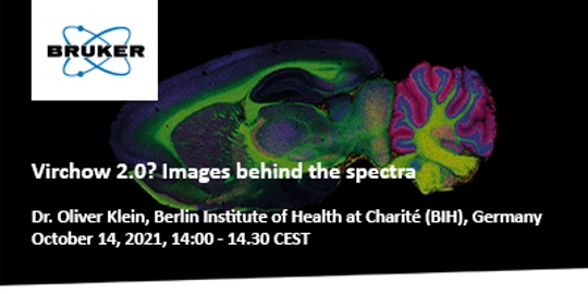 Virchow 2.0? Images behind the spectra