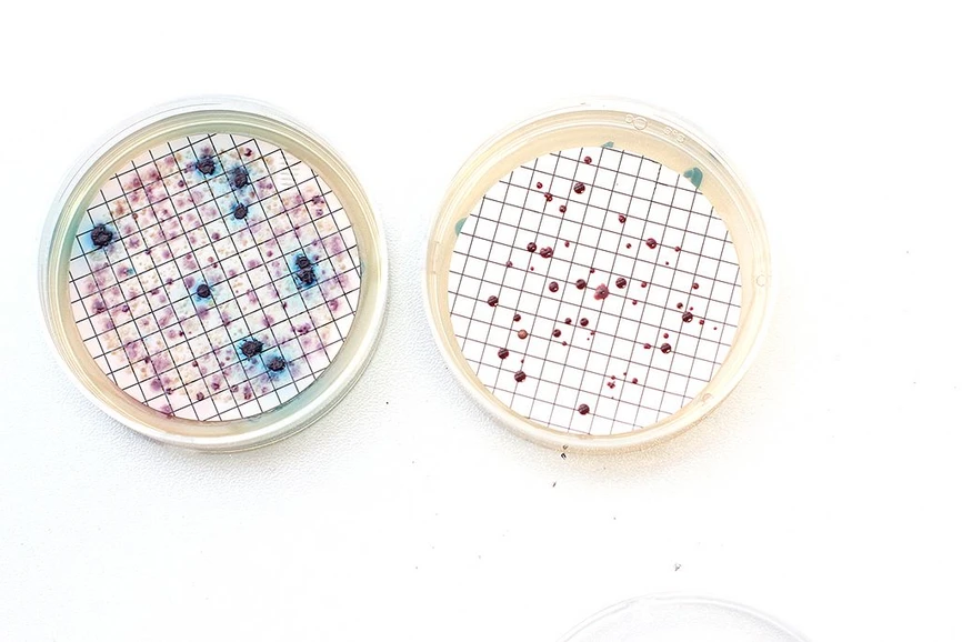 CXI TUL: Patogeny ve vodě odhalíme za několik hodin.