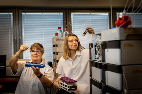 Od ovečky k plodinám: Jak léčiva cirkulují v životním prostředí