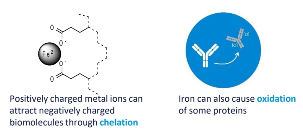HPST: Bioinertní a Biokompatibilní