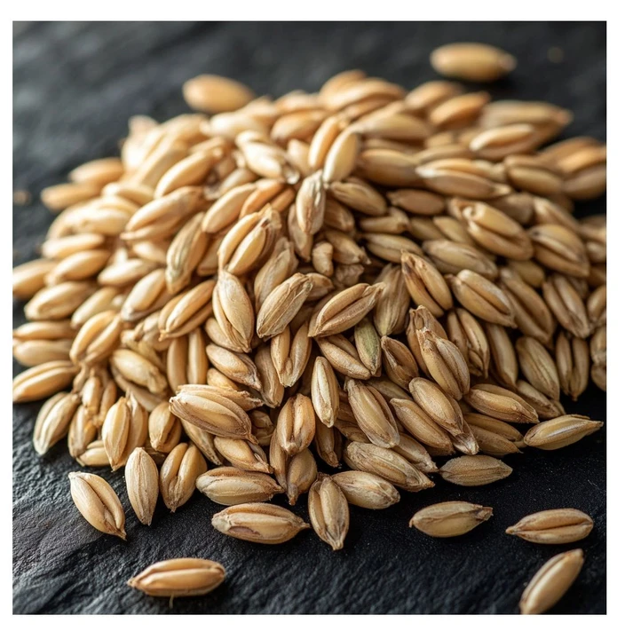 Labrulez AI: Trichothecenove mykotoxiny