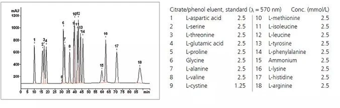 Metrohm Metrosep Amino Acids 1 IC kolony