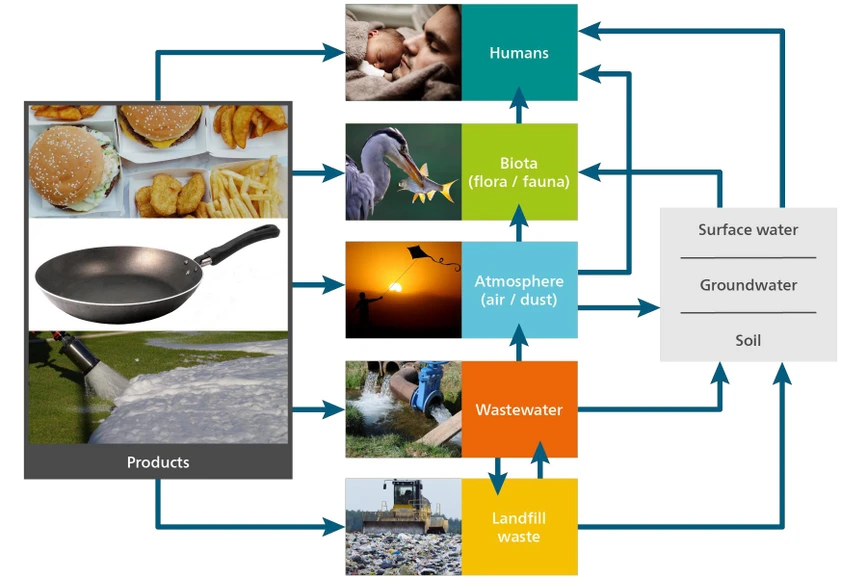 Metrohm: Organicky vázaný fluor a jeho koloběh v příorodě