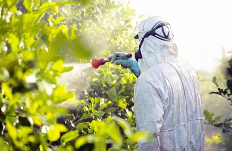 Nařízení (ES) č. 396/2005: stanovení reziduí pesticidů a kritická role koncentrování v metodě QuEChERS pro bezpečnost potravin