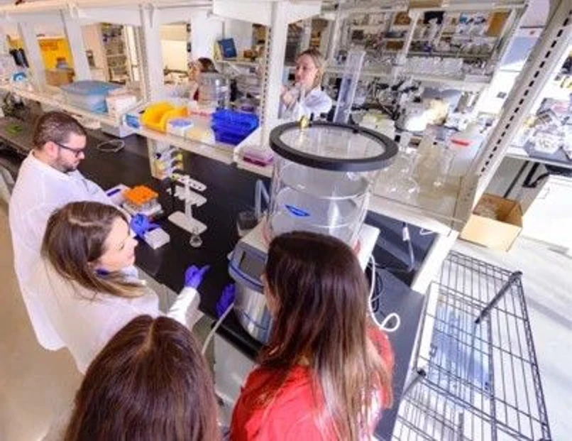 Organomation: Jak modernizace koncentrátoru zefektivnila práci ekologicko-chemické laboratoře na American University