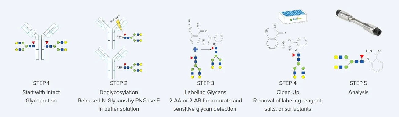Phenomenex: Pracovní postup Biozen N-Glycan Clean-up
