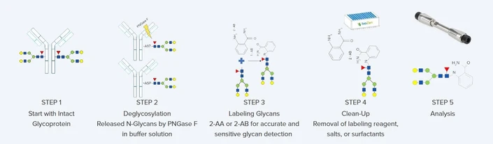 Phenomenex Biozen N-Glycan Clean-Up