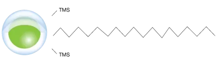 Phenomenex Biozen Oligo LC kolony