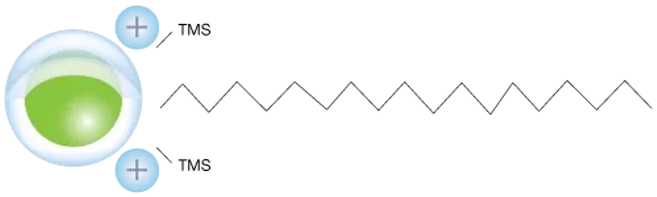 Phenomenex: Kolona Biozen Peptide-PS-C18 HPLC