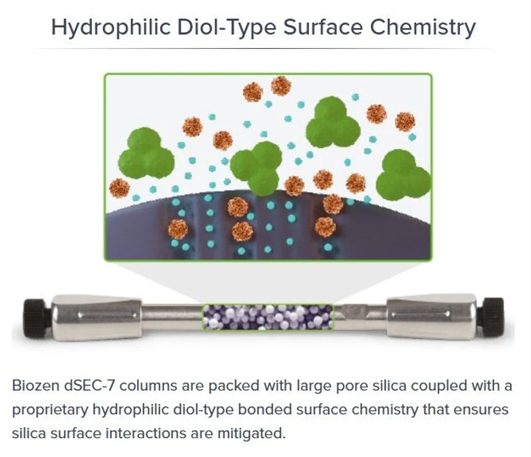 Phenomenex: Kolona Biozen dSEC-7