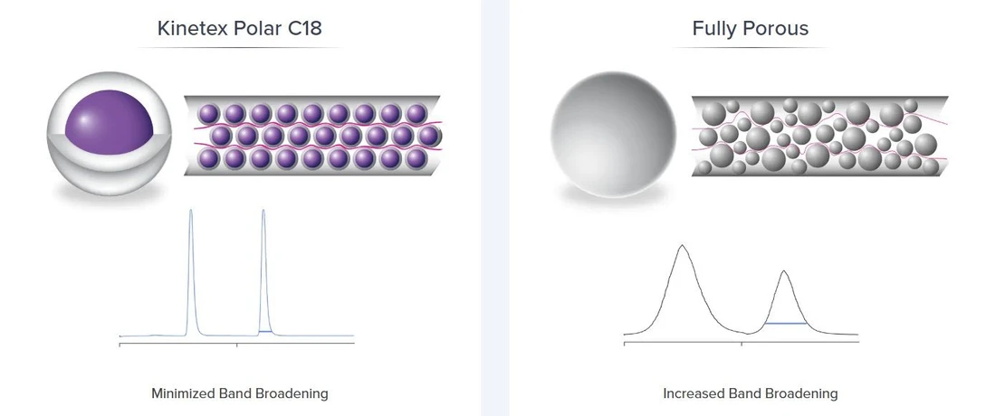 Phenomenex: Kinetex Polar C18 vs Plně porézní fáze