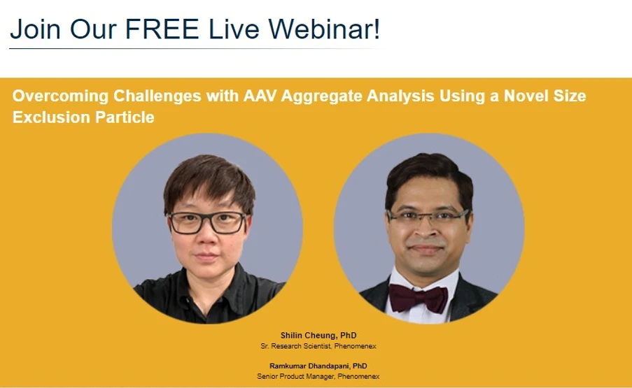 Phenomenex: Overcoming Challenges with AAV Aggregate Analysis Using a Novel Size Exclusion Particle