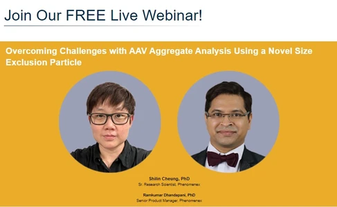 Overcoming Challenges with AAV Aggregate Analysis Using a Novel Size Exclusion Particle