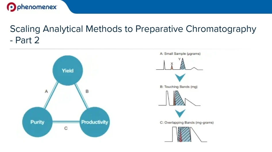 <p>Phenomenex: Jak nejlépe přistoupit ke scale-upu analytické metody při jejím přenosu do preparativní chromatografie? Část druhá</p>