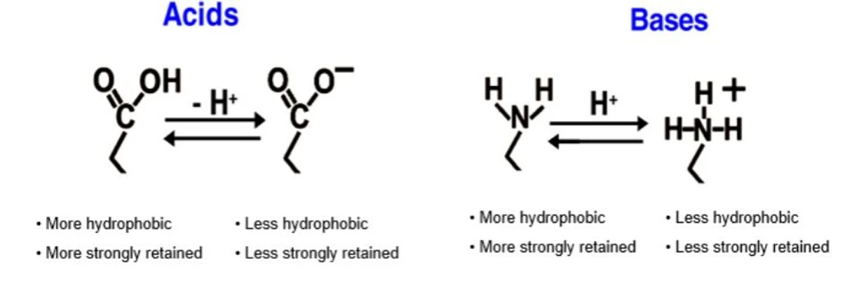 Phenomenex: Význam správně připravené mobilní fáze.