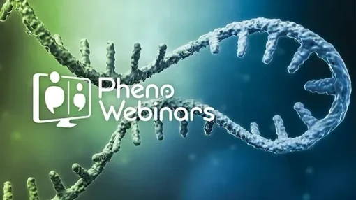 Tips for Getting the Best Out of Your LC Phenomenex Column