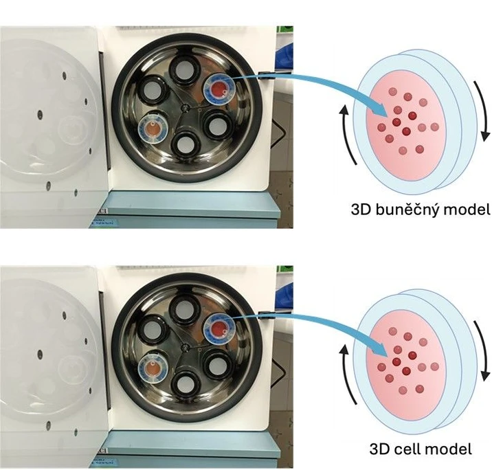 RECETOX: Ilustrace pokročilého dynamického 3D buněčného modelu