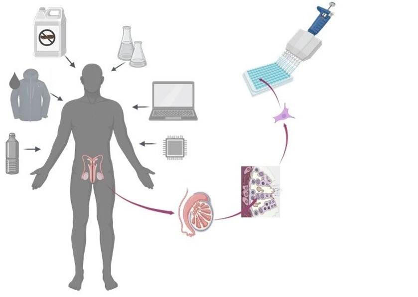 RECETOX: Schéma experimentálního designu projektu