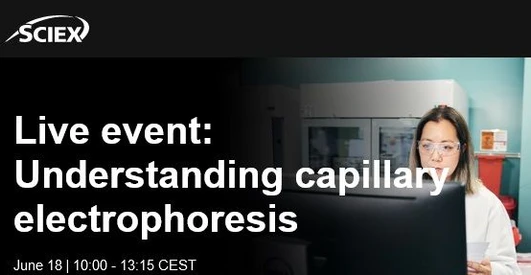 Understanding capillary electrophoresis
