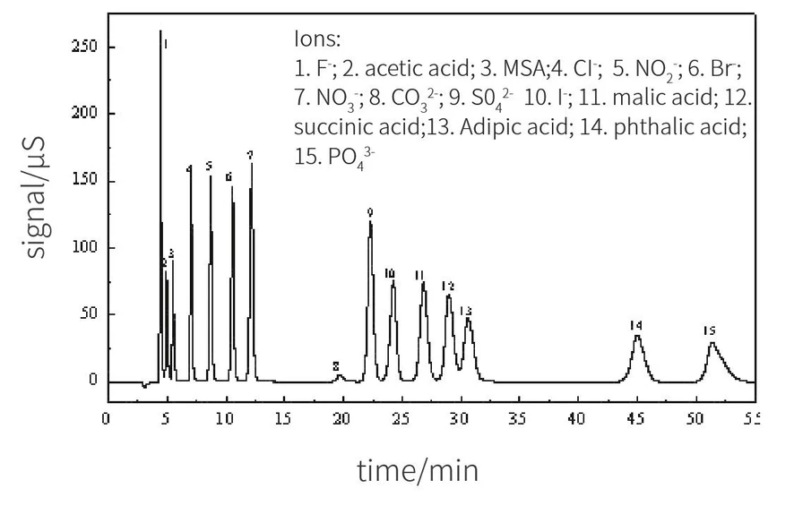 SHINE CIC-D160+ jednokanálový iontový chromatograf: Analýza aniontů v polymerních materiálech
