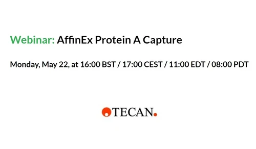 AffinEx Protein A Capture
