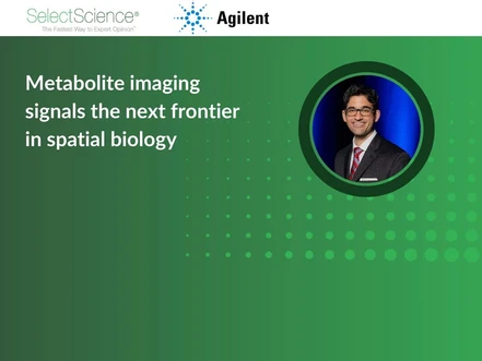 Metabolite imaging signals the next frontier in spatial biology