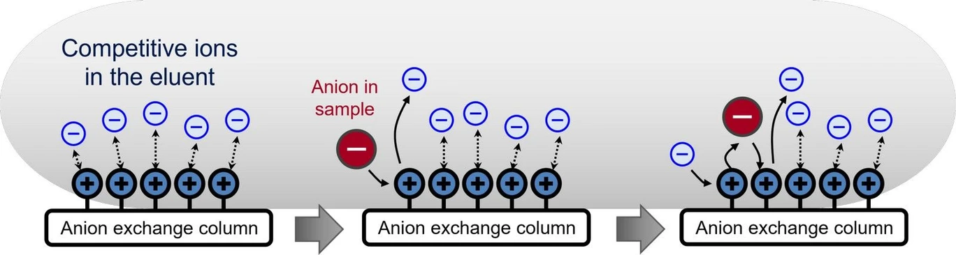 Shimadzu/Gesa Schad: Shimadzu HPLC Blog: Separační módy - Obrázek 2 Retenční mechanismus v iontové chromatografii