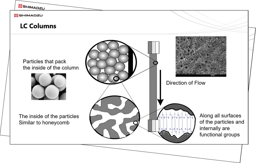 Shimadzu: LC Theory & Key Principles - Session 5: Overview