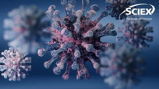 Characterization of Sequence Modifications in Monoclonal Antibodies