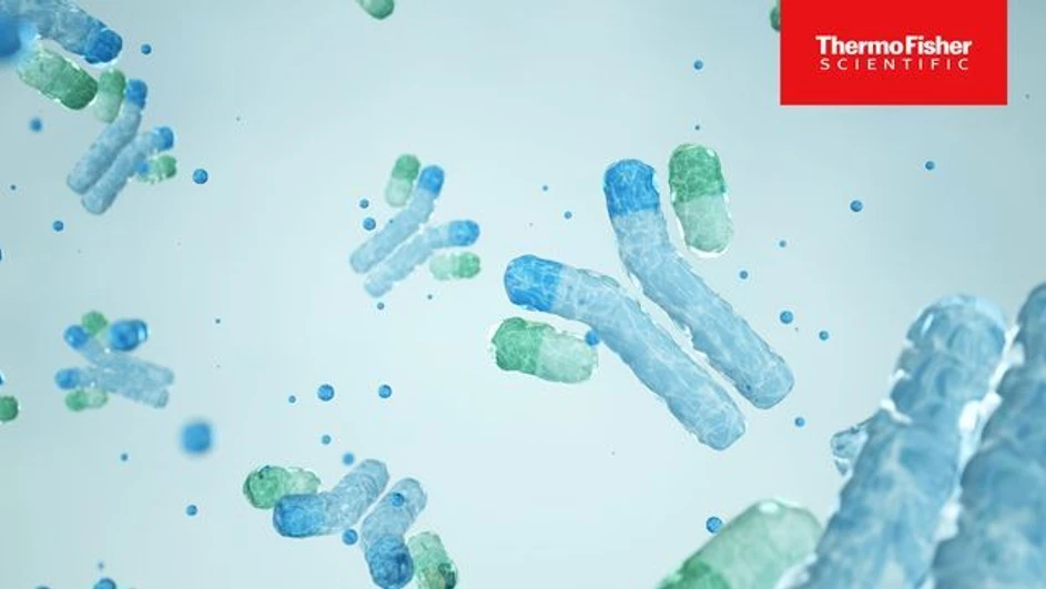 Technology Networks: Improving mAb Purification Efficiency With Hydrophobic Interaction Chromatography
