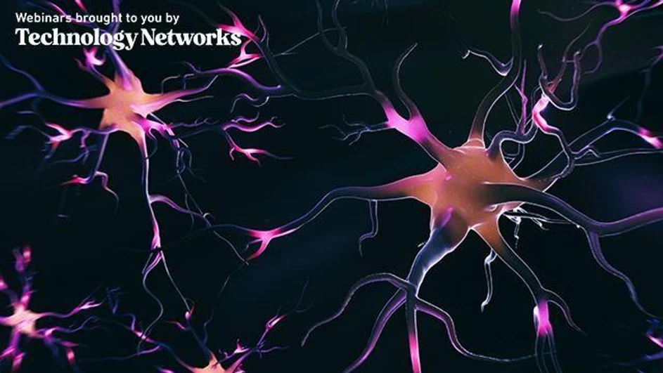 Technology Networks: Mass Spectrometry-Based Omics Strategies for Biomarker Discovery in Alzheimer’s Disease