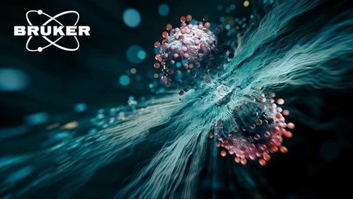 Next-Generation Plasma Lipidomics: Quantification With dia-PASEF