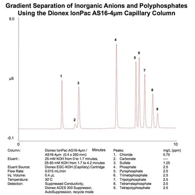 Thermo Scientific Dionex IonPac AS16-4μm IC kolony