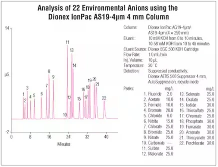 Thermo Scientific Dionex IonPac AS19-4μm IC kolony