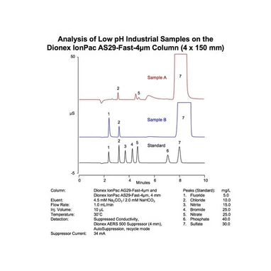 Thermo Scientific Dionex IonPac AS29-Fast-4μm IC kolony