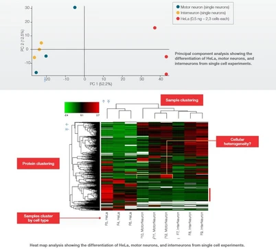 Thermo Scientific Proteome Discoverer Software