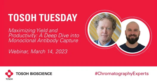 DSP Maximizing Yield and Productivity: A Deep Dive into Monoclonal Antibody Capture