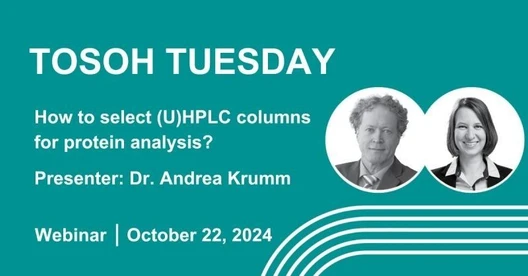How to select (U)HPLC columns for protein analysis?