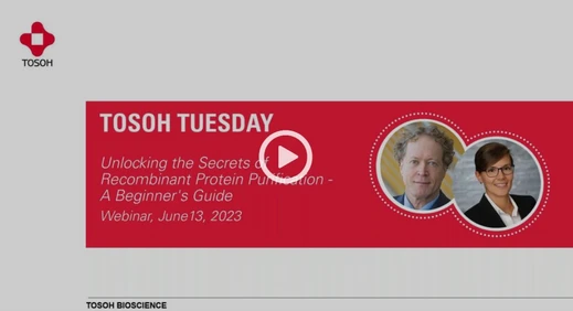 Unlocking the Secrets of Recombinant Protein Purification: A Beginner's Guide