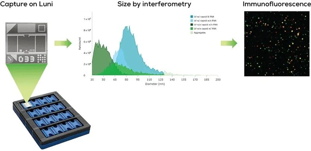 Unchained Labs Leprechaun: Následuj duhu.