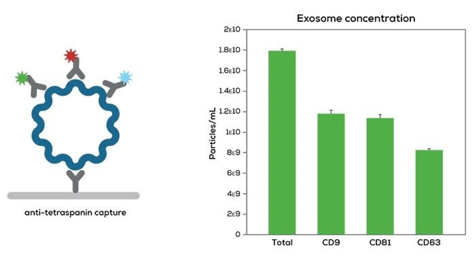 Unchained Labs Leprechaun: Prozkoumej své exozomy.