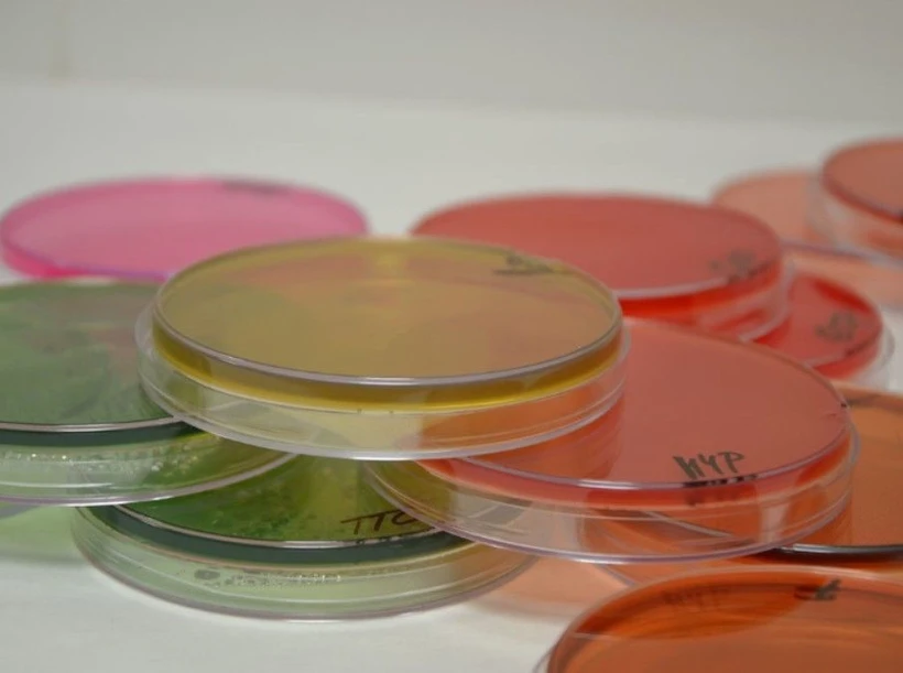 Ústav pro vyšetřování potravin: Příprava vzorků v laboratoři